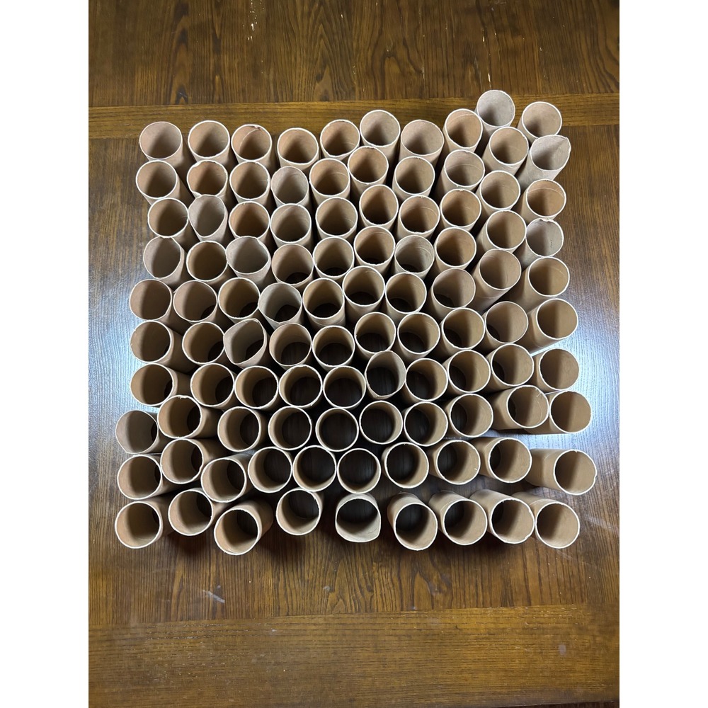 100 Empty Cardboard Toilet Paper Rolls Bulk Lot for DIY Crafts School Projects